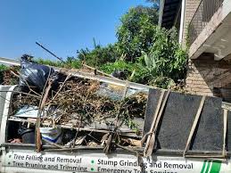 Best Dumpster Rental Services  in Glendale, MS