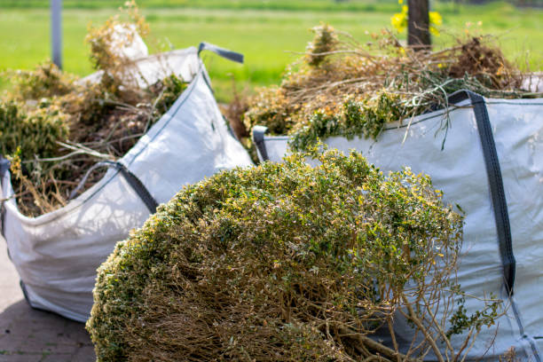 Same-Day Junk Removal Services in Glendale, MS
